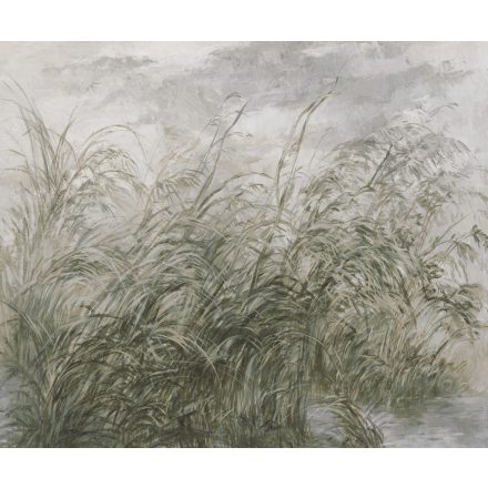 Rauv tapéta / Mirage