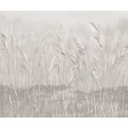 Rauv tapéta / Mirage