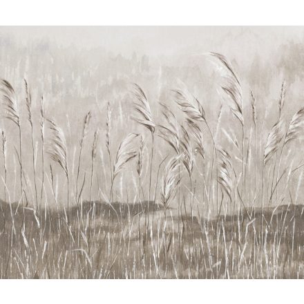 Rauv tapéta / Mirage