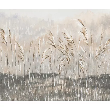 Rauv tapéta / Mirage