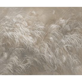 Rauv tapéta / Mirage