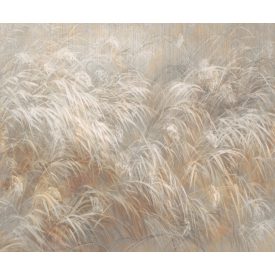 Rauv tapéta / Mirage