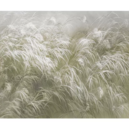 Rauv tapéta / Mirage