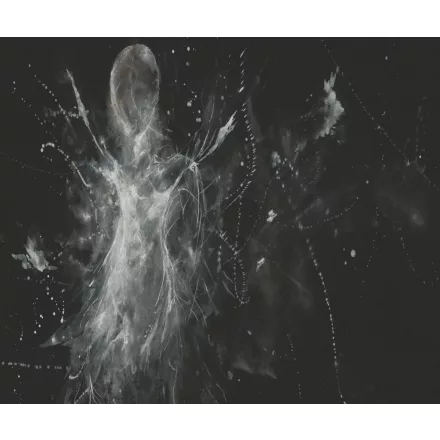 Rauv tapéta / Mirage