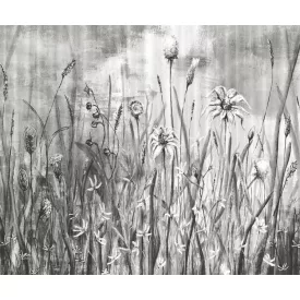 Rauv tapéta / Mirage