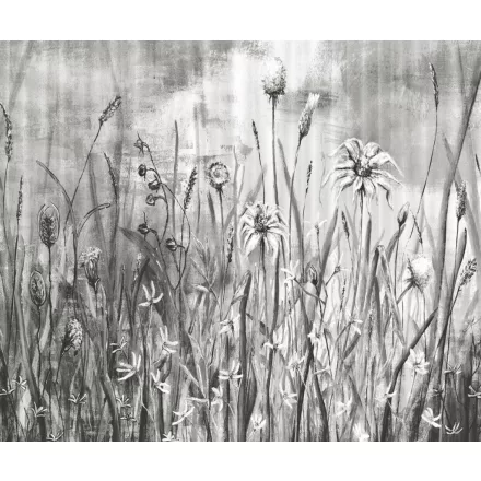 Rauv tapéta / Mirage