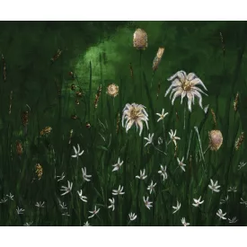 Rauv tapéta / Mirage