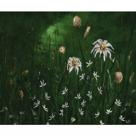 Rauv tapéta / Mirage