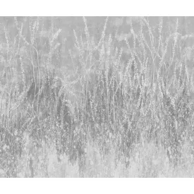 Rauv tapéta / Mirage