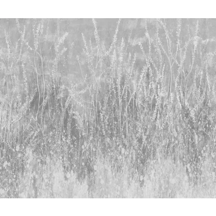 Rauv tapéta / Mirage