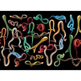 LondonArt / Toiletpaper