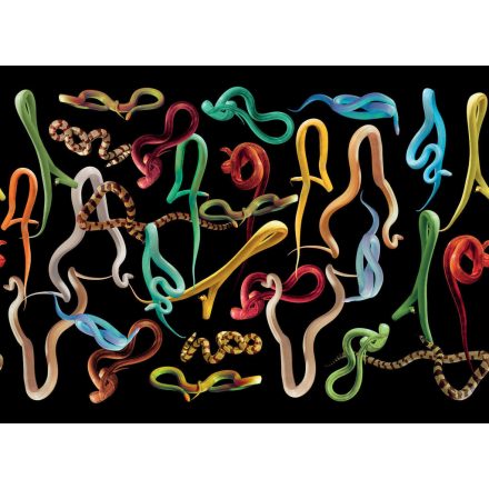 LondonArt / Toiletpaper