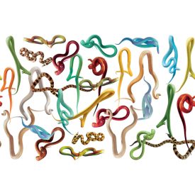 LondonArt / Toiletpaper