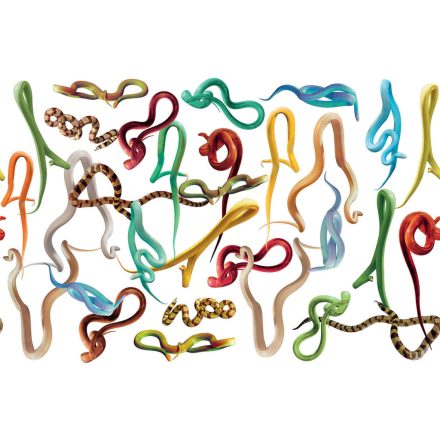 LondonArt / Toiletpaper