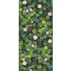 Little Greene / In The Garden tapéta