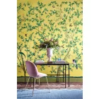 Little Greene / National Trust Papers tapéta