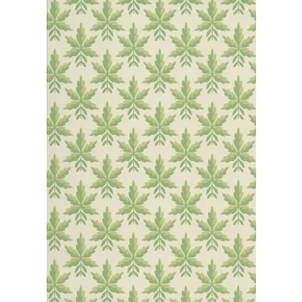 Little Greene / National Trust Papers tapéta