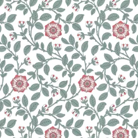 Little Greene / London Wallpapers IV tapéta