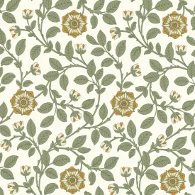 Little Greene / London Wallpapers IV tapéta