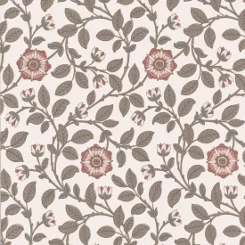 Little Greene / London Wallpapers IV tapéta