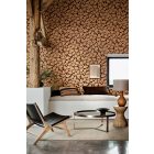 Little Greene / National Trust Papers II tapéta