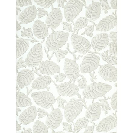 Little Greene / National Trust Papers II tapéta