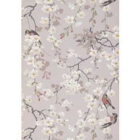 Little Greene / National Trust Papers II tapéta