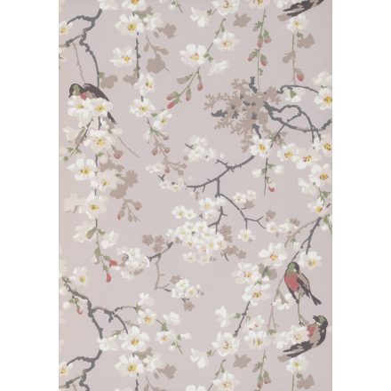 Little Greene / National Trust Papers II tapéta