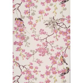 Little Greene / National Trust Papers II tapéta