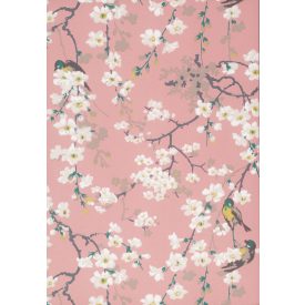 Little Greene / National Trust Papers II tapéta