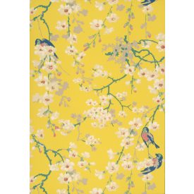 Little Greene / National Trust Papers II tapéta