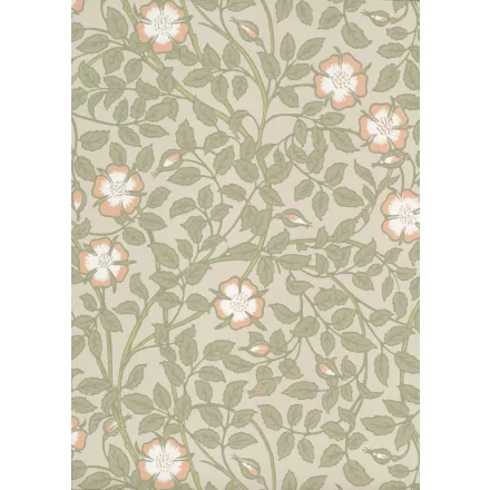 Little Greene / National Trust Papers III tapéta