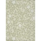 Little Greene / National Trust Papers III tapéta