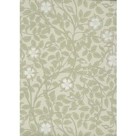 Little Greene / National Trust Papers III tapéta