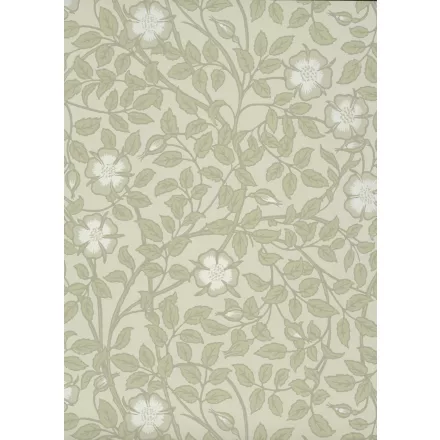 Little Greene / National Trust Papers III tapéta