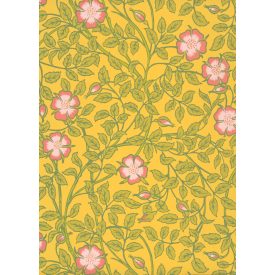 Little Greene / National Trust Papers III tapéta