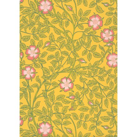 Little Greene / National Trust Papers III tapéta