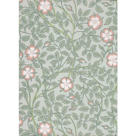 Little Greene / National Trust Papers III tapéta