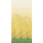 Little Greene / National Trust Papers III tapéta