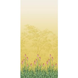 Little Greene / National Trust Papers III tapéta