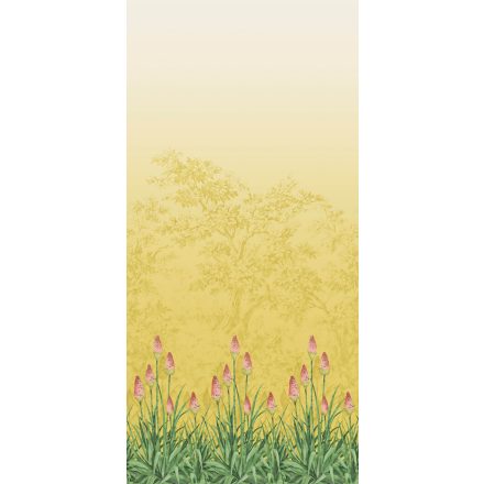 Little Greene / National Trust Papers III tapéta