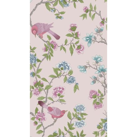 Little Greene / National Trust Papers IV tapéta