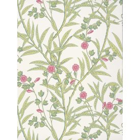 Little Greene / National Trust Papers IV tapéta