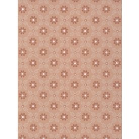 Little Greene / National Trust Papers IV tapéta