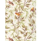 Little Greene / National Trust Papers IV tapéta