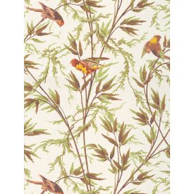 Little Greene / National Trust Papers IV tapéta