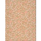 Little Greene / National Trust Papers IV tapéta