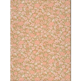 Little Greene / National Trust Papers IV tapéta