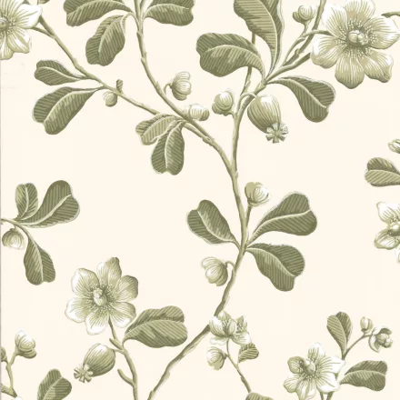 Little Greene / London Wallpapers IV tapéta