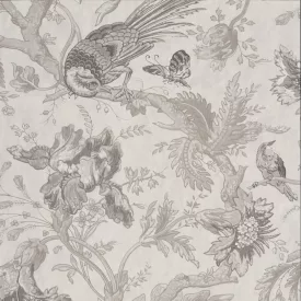 Little Greene / Archive Trails II tapéta